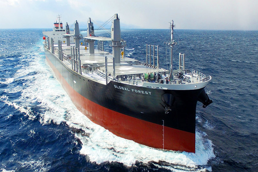 MV GLOBAL FOREST
